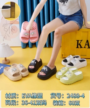 Women Fashion Summer PVC Outside To Wear Mid-Heel Slippers Casual New Thick sole slippers